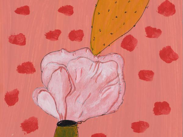 Cactus in an orange-pink desert