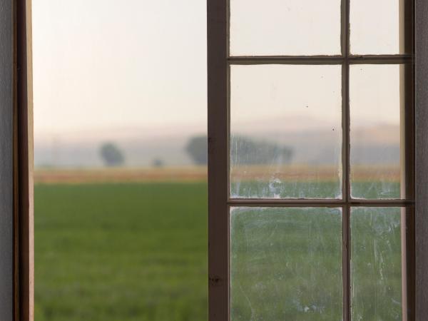 Wood panel window looking out a green grass landscape