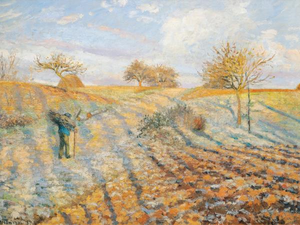 Wheat field blanketed with a light snow frost