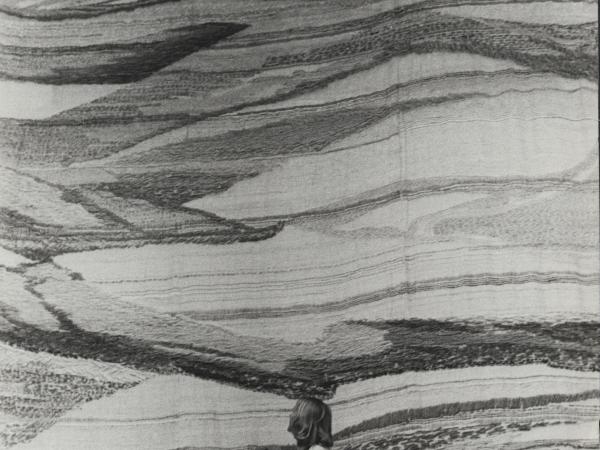 Nancy Hemenway in front a large salt shadow